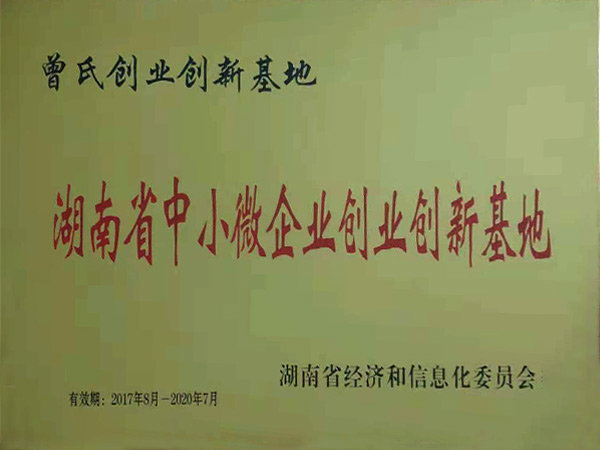 湖南省中小微企业创业创新基地